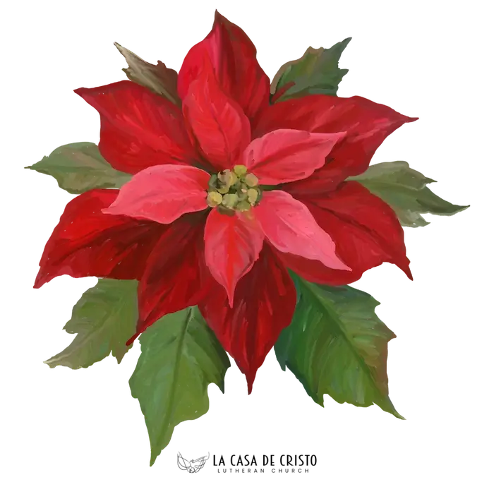 La Casa de Cristo's Poinsettia Donations and Dedication