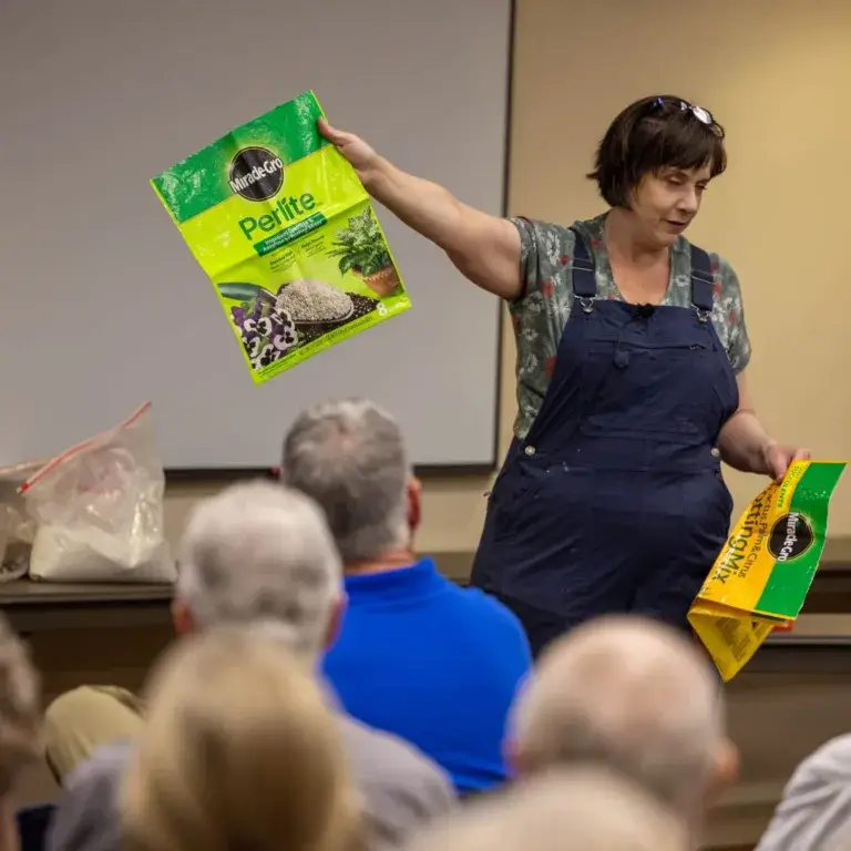 Love Of Learning - Succulents