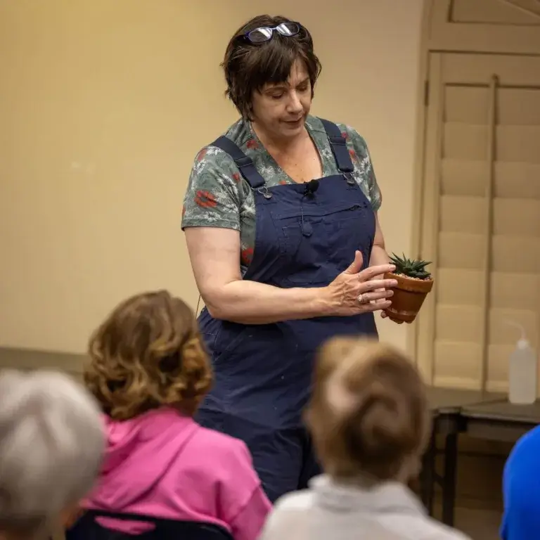 Love Of Learning - Succulents