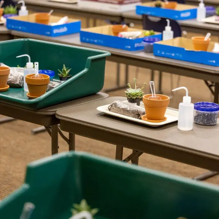 Love Of Learning - Succulents