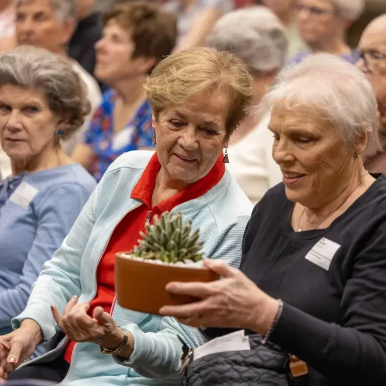 Love Of Learning - Succulents