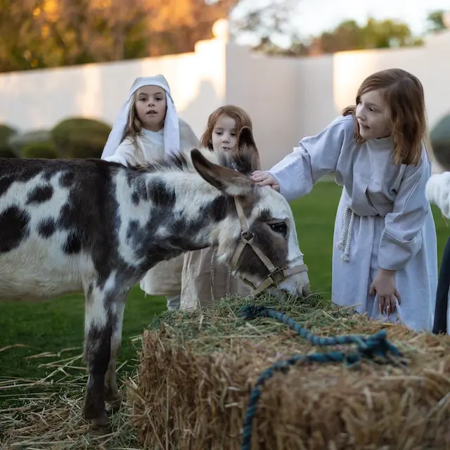 Journey Thru Bethlehem at La Casa de Cristo